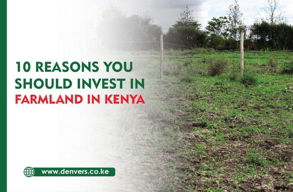 10 reasons you should invest in agricultural land in kenya
