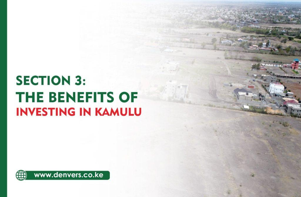 The Benefits of Investing in Kamulu