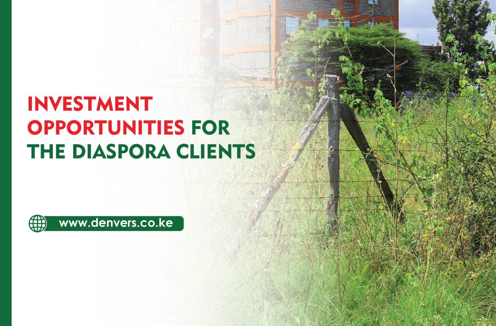 Investment Opportunities for the Diaspora