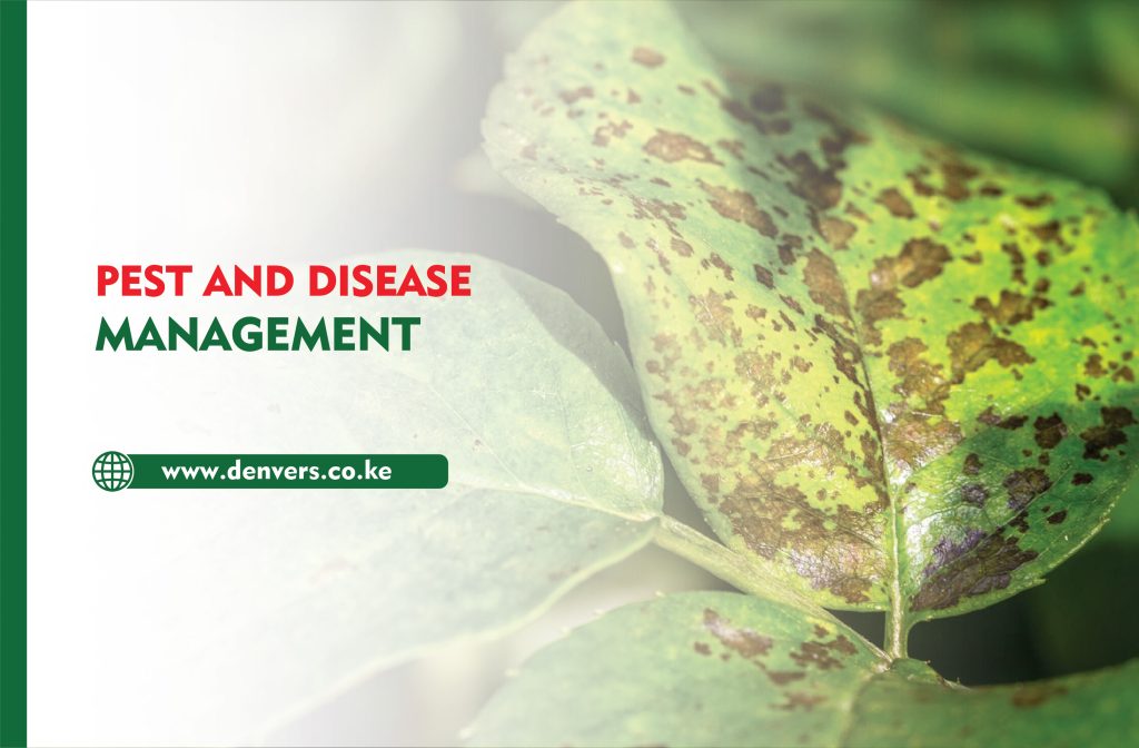Pest and Disease Management