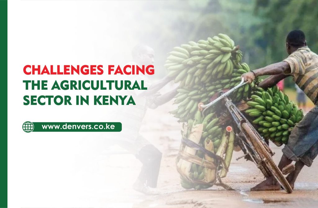 Challenges Facing the Agricultural Sector in Kenya
