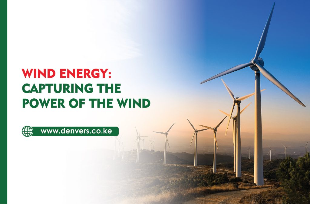 Wind Energy: Capturing the Power of the Wind