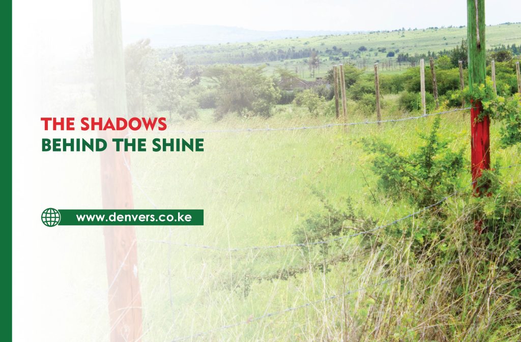 The Shadows Behind the Shine