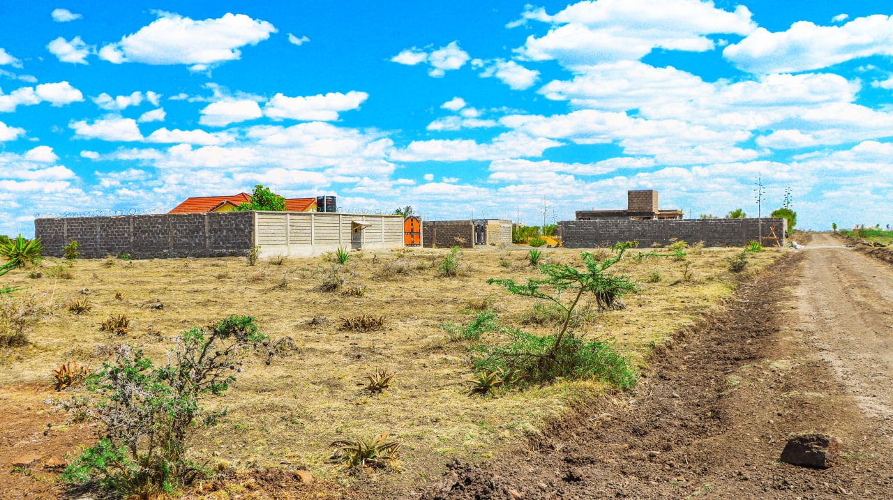 Denver Ruiru Haven - photo 4