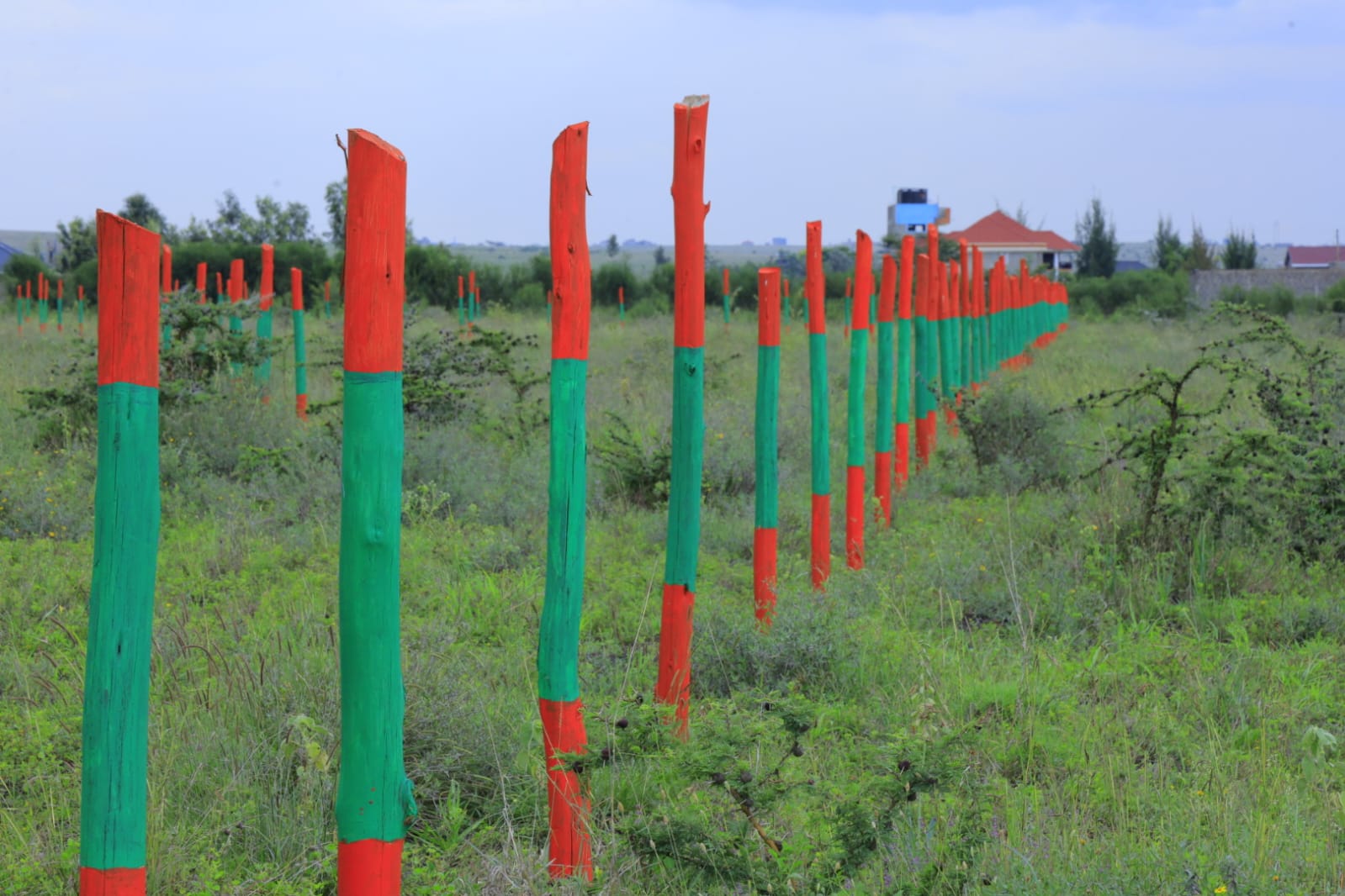 Denver Greens Phase 2 - photo 3