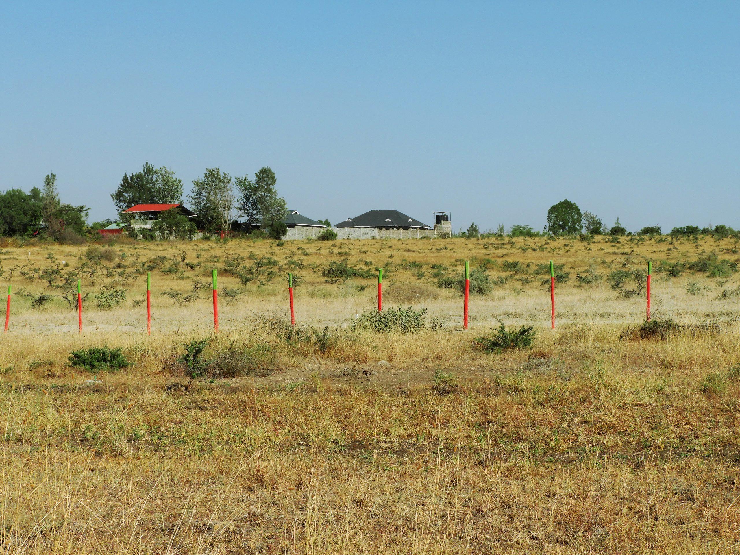 Denver Greens Phase 3 - photo 1
